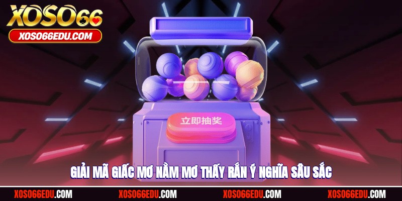 Giải mã giấc mơ nằm mơ thấy rắn ý nghĩa sâu sắc