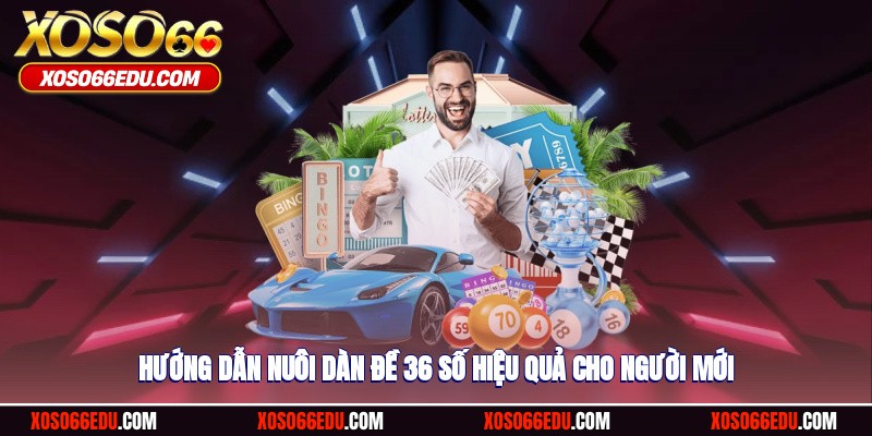 Hướng dẫn anh em nuôi dàn đề 36 số hiệu quả cho người mới