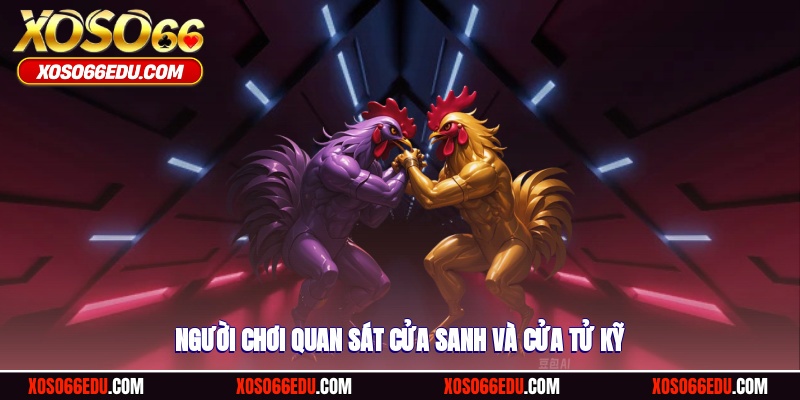 Người chơi quan sát cửa sanh và cửa tử kỹ