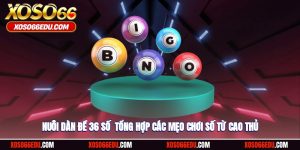 Nuôi Dàn Đề 36 Số - Tổng Hợp Các Mẹo Chơi Số Từ Cao Thủ